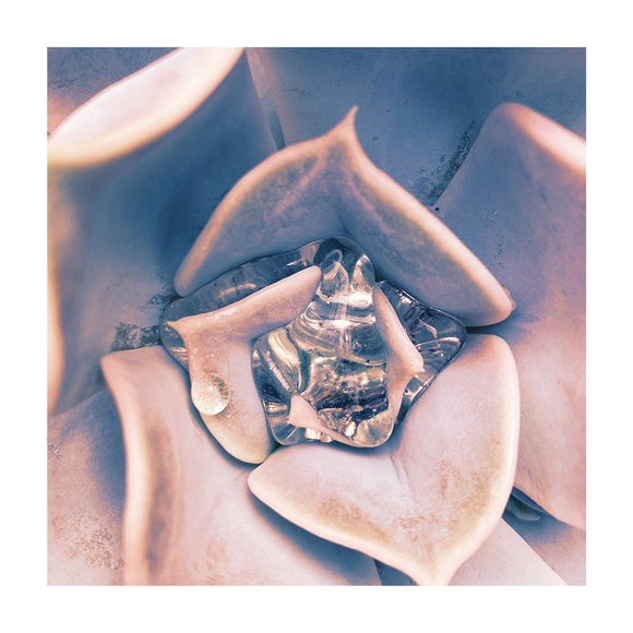 Meet your Posher, Cait - Picture 2 of 5